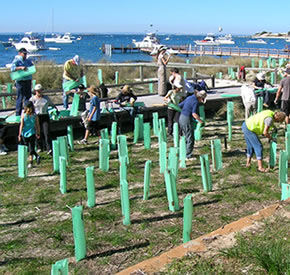 Rottnest Society Logo